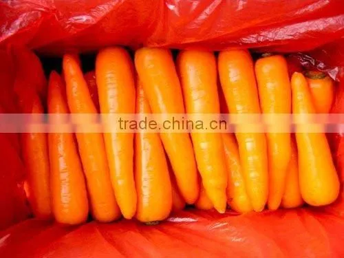 Chinese Fresh Carrot/fresh Market Carrots