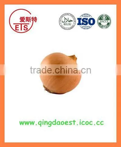 Fresh New Crop Yellow Onion PRODUCTS From China photo-5