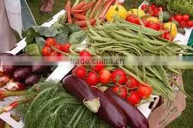 High Quality Exquisite Classic Fresh Vegetables photo-3