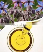 Pharmaceutical Medical Borage Seed Oil Good for Female photo-2