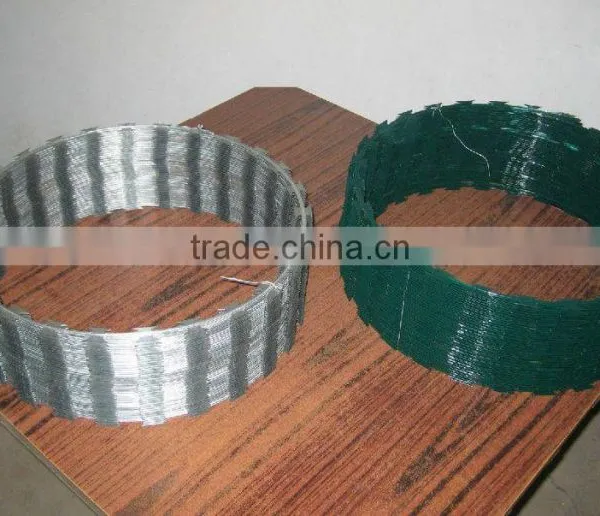 Concertina Razor Barbed Wire BTO-22/low Price Concertina Razor Barbed Wire/Galvanized Razor Barbed Wire(Anping Factory) photo-3