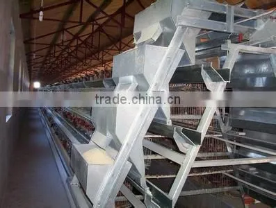 Poultry Farming Equipment Automatic Feeding System With Chicken Cage