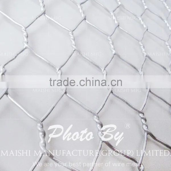 GI Hexagonal Mesh photo-3