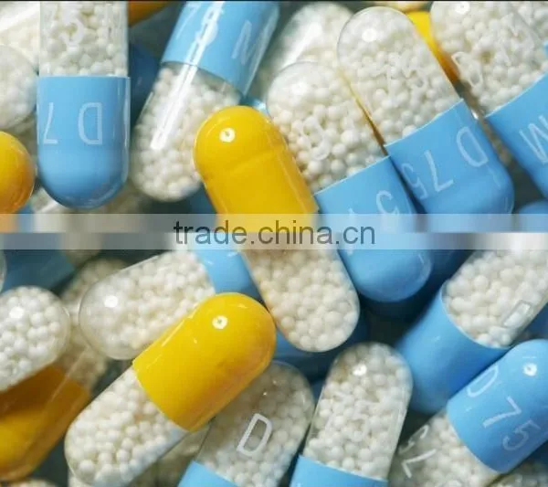 High Precision NJP-800c Fully Automatic Small Capsule Filler for Medicine Capsule photo-4