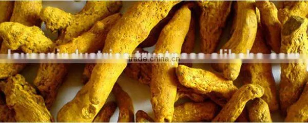 Turmeric Fingers photo-2