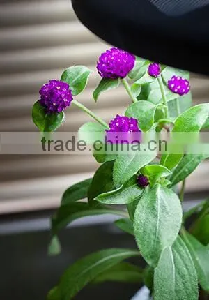 Intelligent Plant Growth Machine photo-3