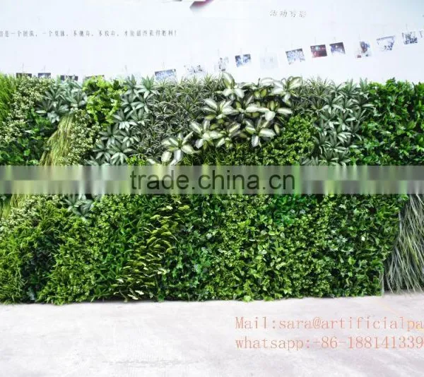 Wholesale Price Plastic Plant Vertical Everygreen Wall,artificial Plants for Wall photo-3