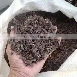 Chopped Sargassum Seaweed photo-3