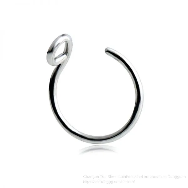 New Hot Money Puncture Stainless Steel Insert Drill Nail, Foreign Trade Jewelry Earrings, Titanium Steel Nose Ring Manufacturer Wholesale photo-4