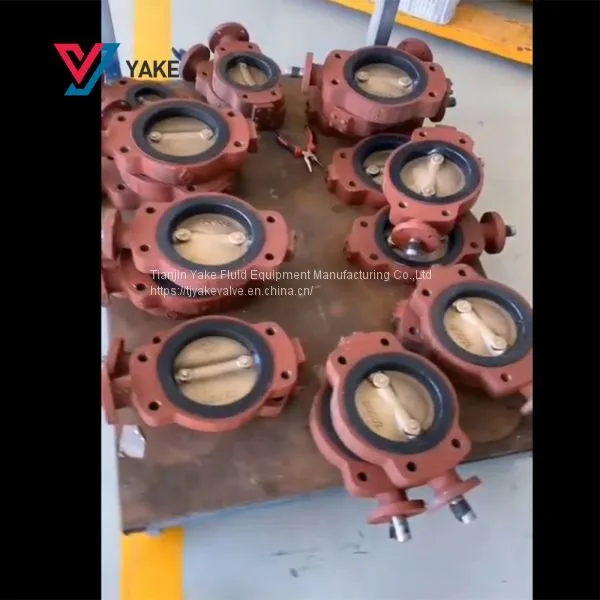 Aluminum Bronze Disc Manual Wafer Lever Handle Butterfly Valve DN50-DN1200 Ship Butterly Valve photo-5