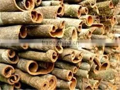 Cinnamon Bark/Cinnamon Cassia photo-3