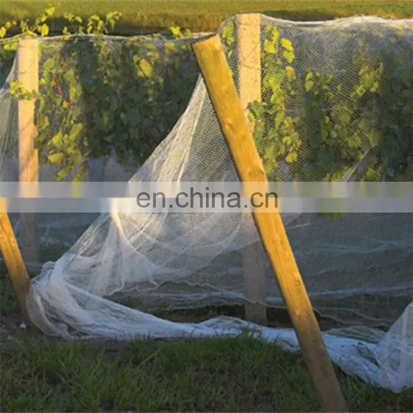 Mosquito Plastic Agriculture Durable HDPE Customized Anti Insect Net Garden Greenhouse Horticulture Plant Protection photo-4