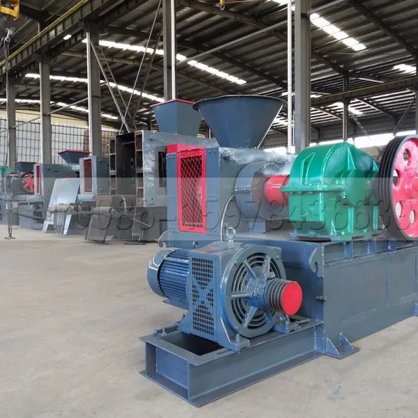 Coal Slime Briquetting Machine photo-5