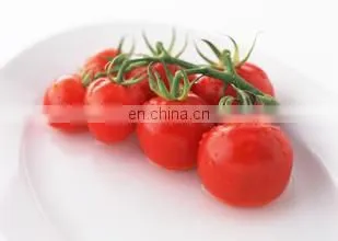 Turnkey Production Plant of Sauce and Ketchup and Tomato Paste Processing Line photo-2