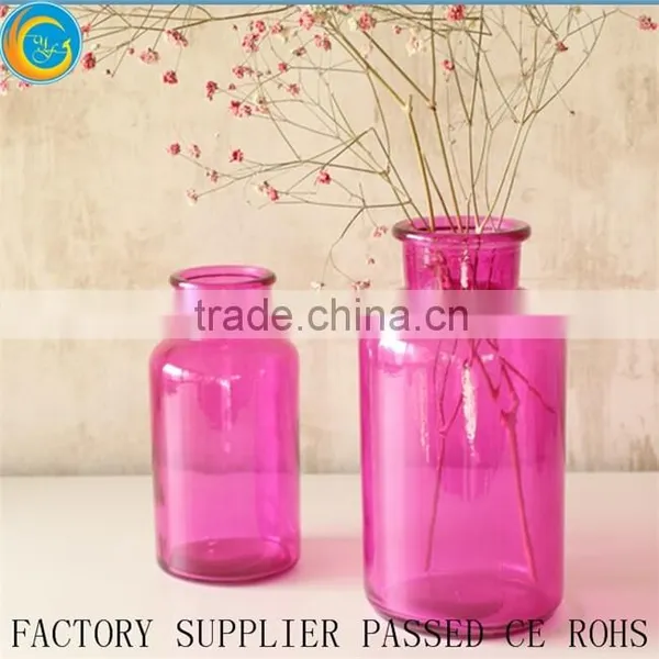 Stylish Colorful Glass Bottle Plant Vase or Moss Terrarium Clear Flower Vases Quality Choice photo-5