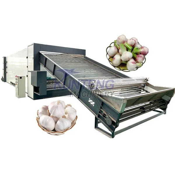 Ginger Dryer Machine India Whole Garlic Clove Drying Machine Commercial Black Garlic Dryer Machine EPC
