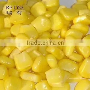 Canned Sweet Corn in Brine in Tins 425g photo-5