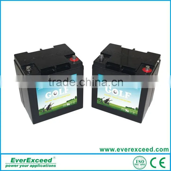 EverExceed High Quality Golf Cart Lithium Battery for Golf Cart