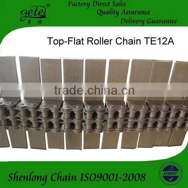 TE12A-2F1 Flat Top Roller Chains