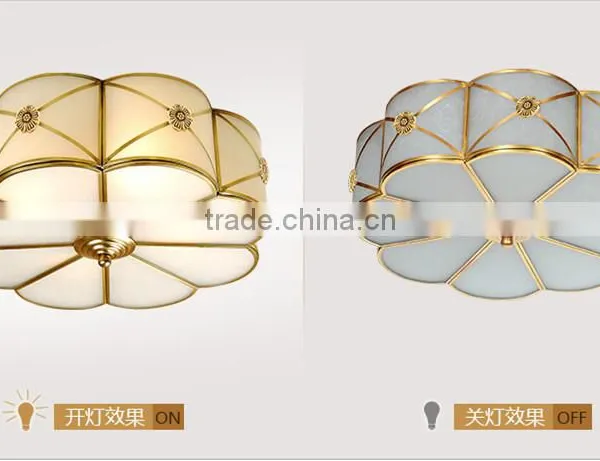 Ceiling Lighting Home Design Ideas New Ideas Overhead photo-5