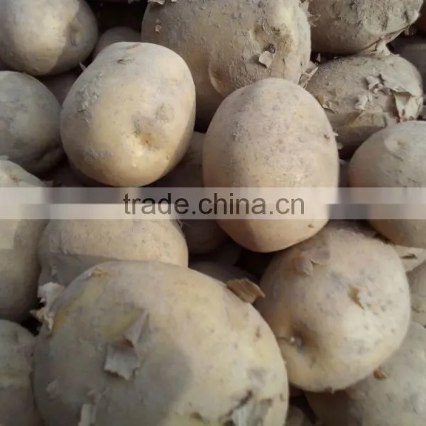 Fresh Potato