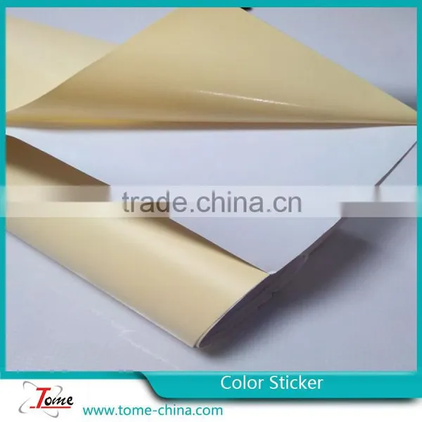 High Quality Advertising Decoration Self Adhesive Color Plotter Cutting Vinyl photo-6