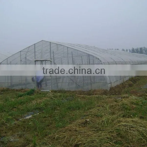 China Factory, Anti Aphids Insect Protection Net photo-2