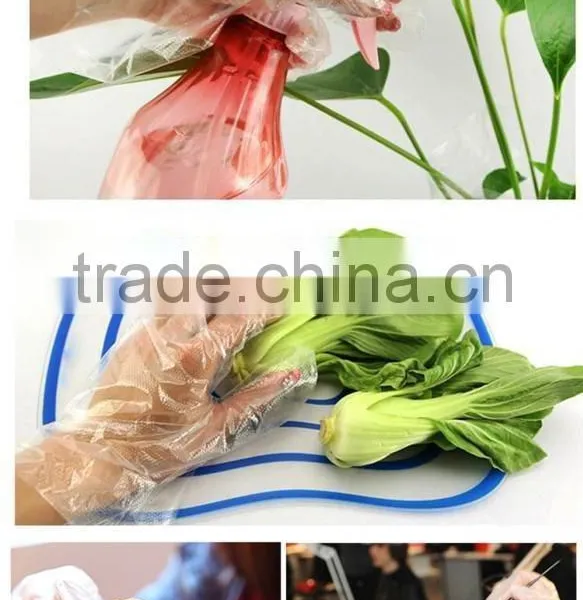 Food Grade Disposable Gloves photo-4