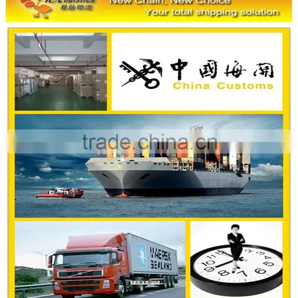 Shenzhen To Miami DDP Container Freight Services photo-3