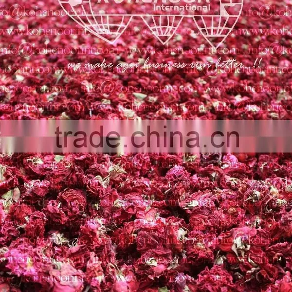 Dried Rose Flower photo-2