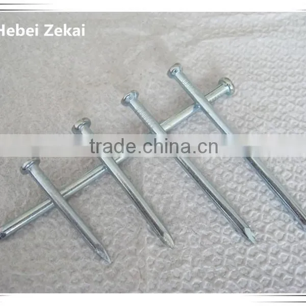 Garden Fencing Nails/common Wire Nails in High Quality photo-2