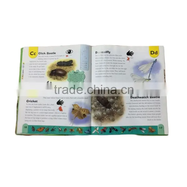 High Quality Custom Brochure Printing photo-5