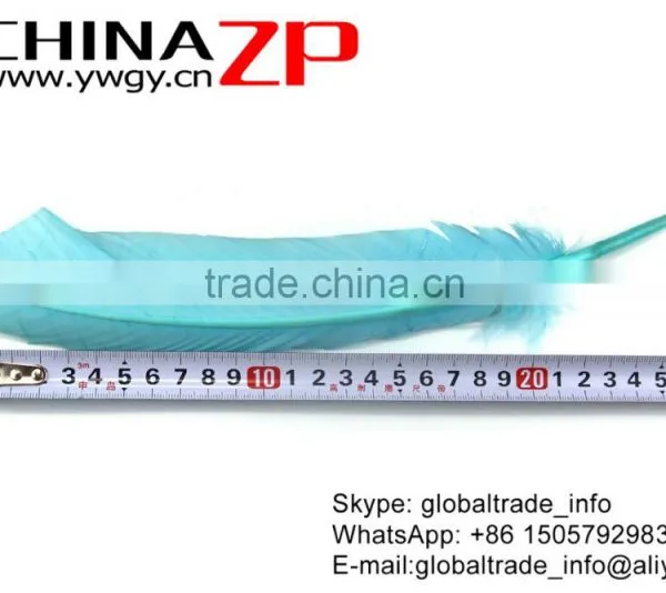 CHINAZP Feather Exporting Good Quality Dyed Light Blue Wild Solid Color Turkey Pointers Wing Quill Feathers photo-4