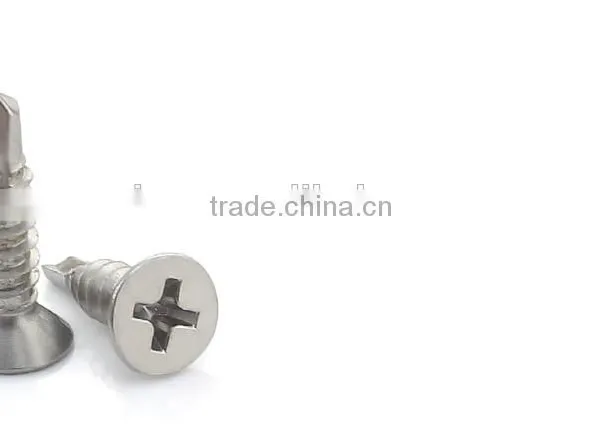Flat Head Self Drilling Screw/stainless Steel Flat Head Self Drilling Screw/self Drilling Screw photo-2