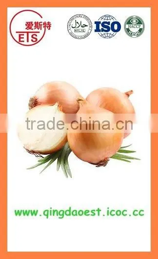 Export Bulk China Best Quality Fresh Products Onion photo-6