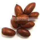 Peanuts Kernel photo-5
