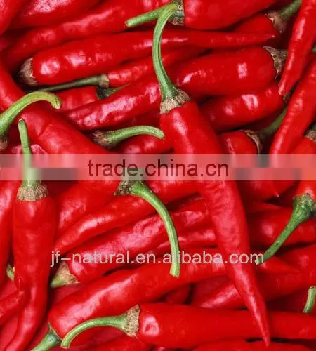 Pure Natural Chili Powder ISO, GMP, HACCP, KOSHER, HALAL Certificated. photo-3