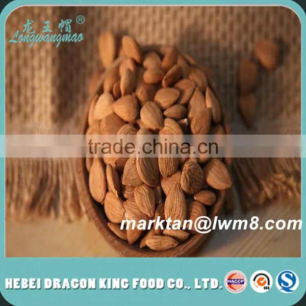 Hot Selling Apricot Kernels With Low Price/Grade A Apricot Kernels With or Without Skin photo-2
