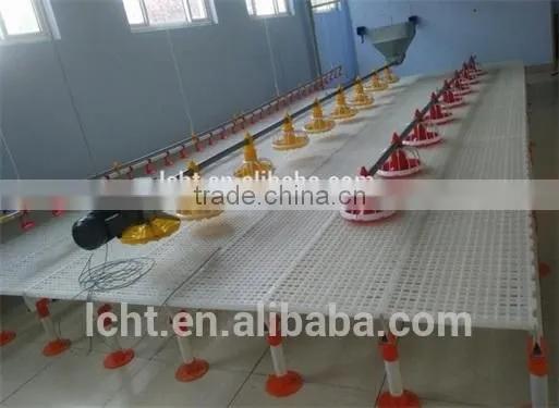 Most Popular Chicken Plastic Slat Floor photo-5