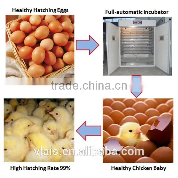 Solar Eggs Incubator 1056 Chicken Eggs Incubation Equipment photo-5