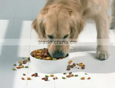 Automatic Dry Dog Food Manufacturing Machine photo-4