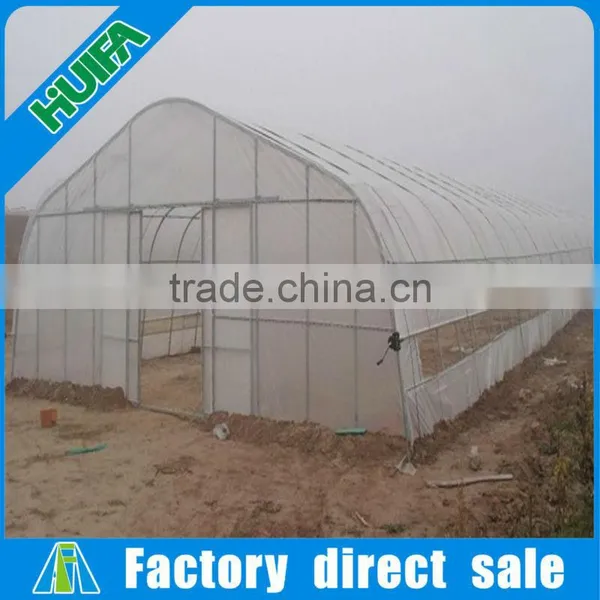 Economical Arch Roof Type Tunnel Greenhouse Steel Structure Greenhouse Panels