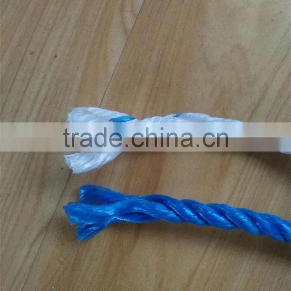 Twisted Rope Type Fishing Rope PP Danline Rope photo-4