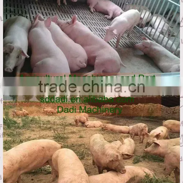China Suppliers Pig Farm Accessory Pigs/sows/swine Cast Iron Slatted Flooring, High Quality Pig Flooring Equipment photo-4