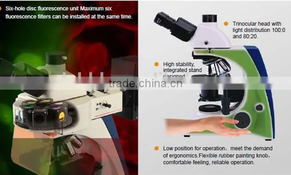 Electric Lab Biological Microscope Digital for Laboratory photo-3