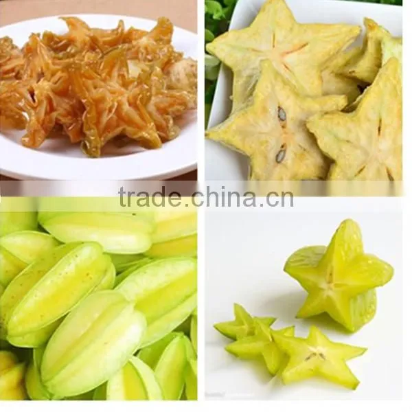 Hot Selling Star Fruit Drying Oven/star Fruit Dryer Machine With Good Price photo-4