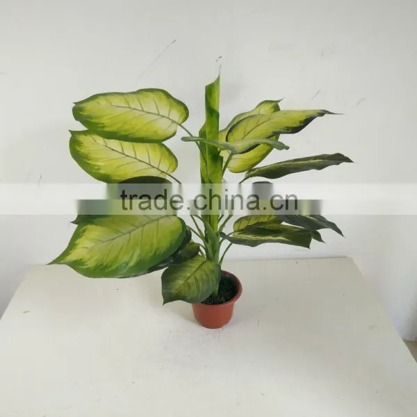 Artificial Rohdea Fake Dieffenbachia Artificial Decorative Evergreen photo-5