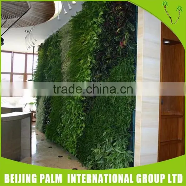 Cheap High Imitation Plastic Imitation Plastic Green Wall/Artificial Plant photo-4