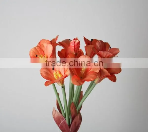 Natural Clivia Fabric Clivia Decorative Clivia Artificial Clivia Flower for Wholesale photo-5