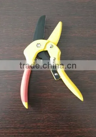 Pruner photo-4